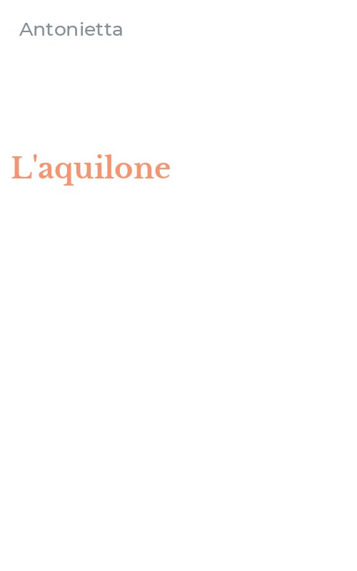 L'aquilone