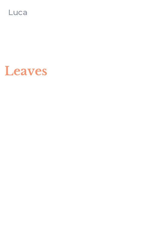 Leaves