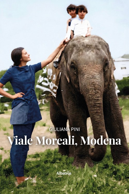 Viale Moreali, Modena