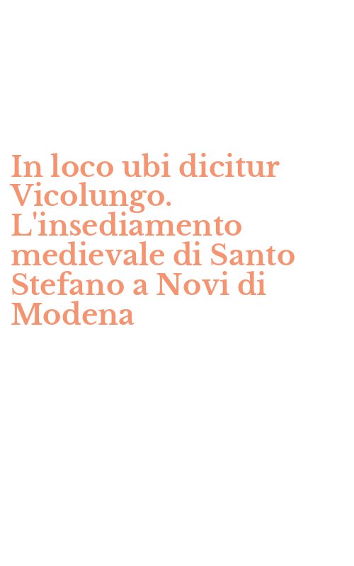 In loco ubi dicitur Vicolungo. L'insediamento medievale di Santo Stefano a Novi di Modena
