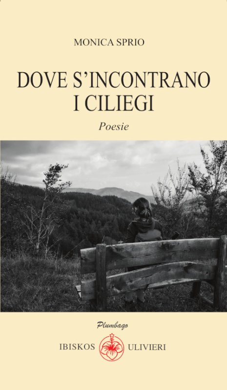 Dove s'incontrano i ciliegi