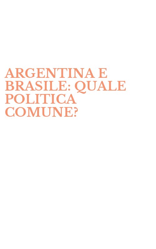 ARGENTINA E BRASILE: QUALE POLITICA COMUNE?
