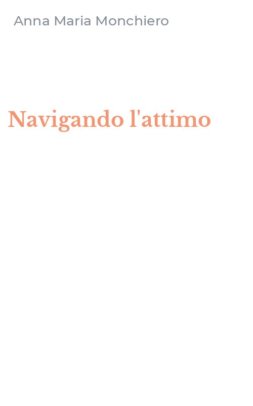 Navigando l'attimo
