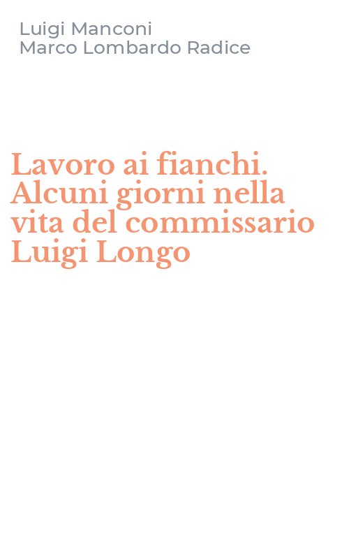 Lavoro ai fianchi. Alcuni giorni nella vita del commissario Luigi Longo
