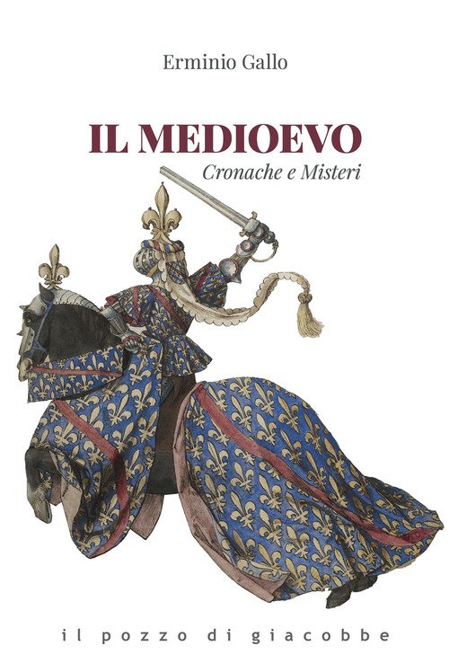 Il medioevo. Cronache e misteri