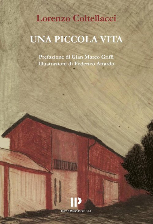 Una piccola vita
