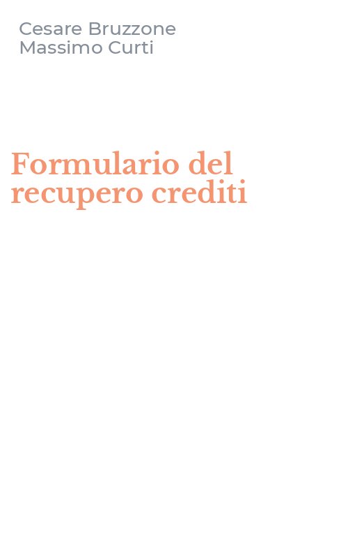 Formulario del recupero crediti