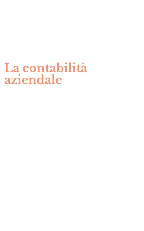 La contabilità aziendale