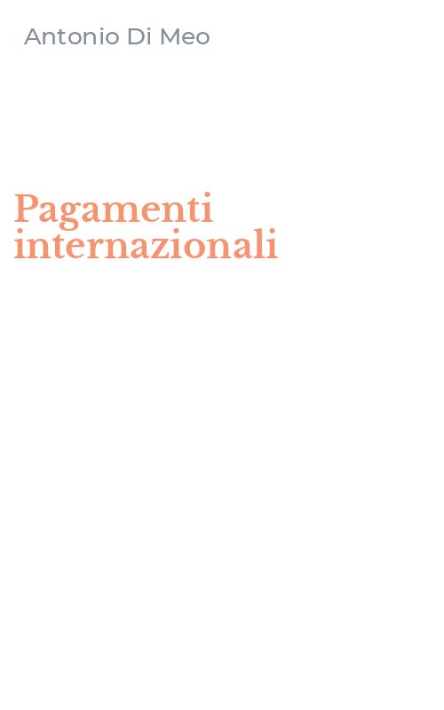 Pagamenti internazionali