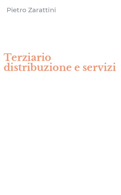 Terziario distribuzione e servizi
