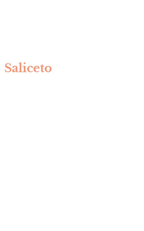 Saliceto