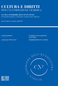 Cultura e diritti. Per una formazione giuridica