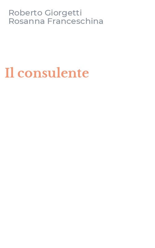 Il consulente
