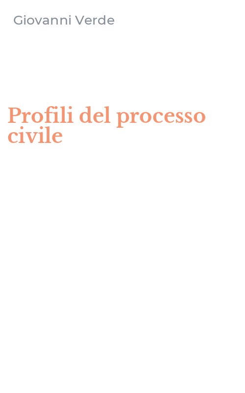 Profili del processo civile