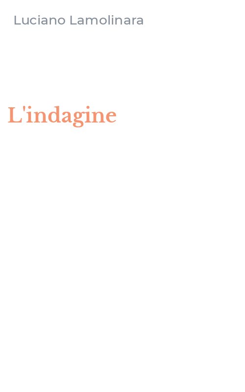 L'indagine