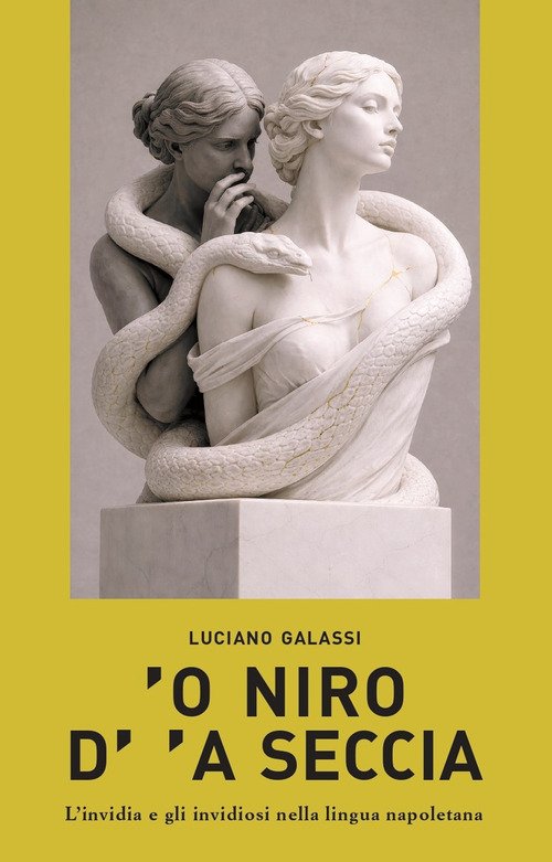 'O niro d''a seccia. L'invidia e gli invidiosi nella lingua napoletana