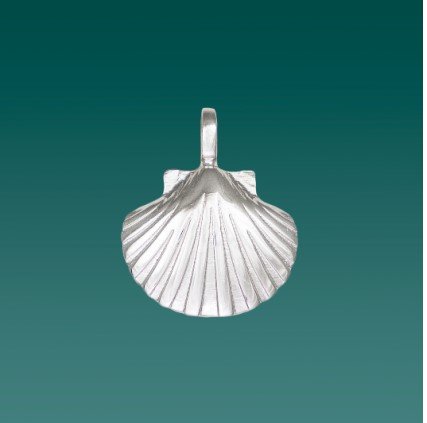 CIONDOLO E CATENINA ARGENTO 925