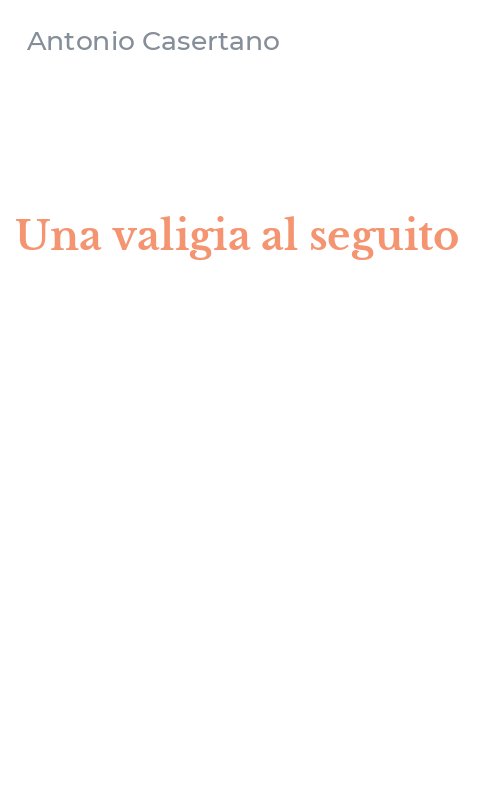 Una valigia al seguito