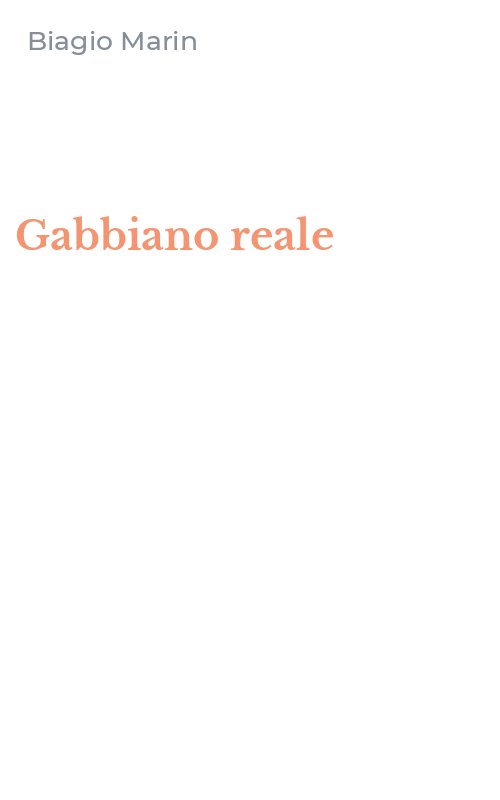 Gabbiano reale