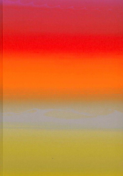Raphael Hefti: Salutary Failures. Ediz. inglese e tedesca