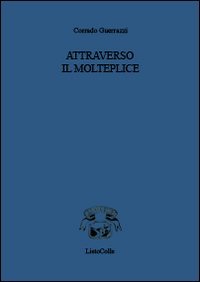 Attraverso il molteplice