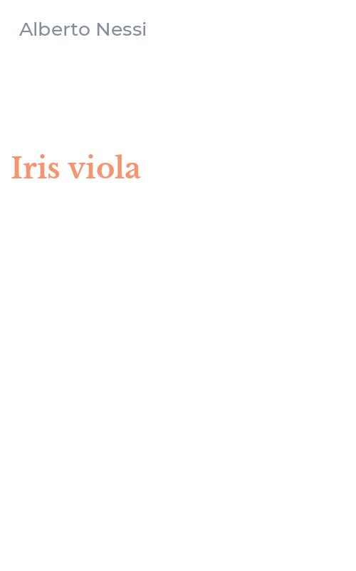 Iris viola