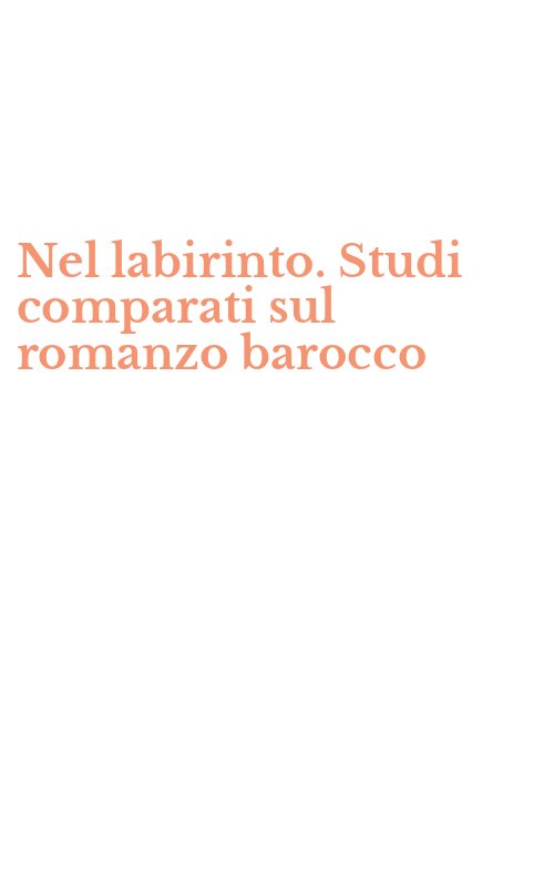 Nel labirinto. Studi comparati sul romanzo barocco