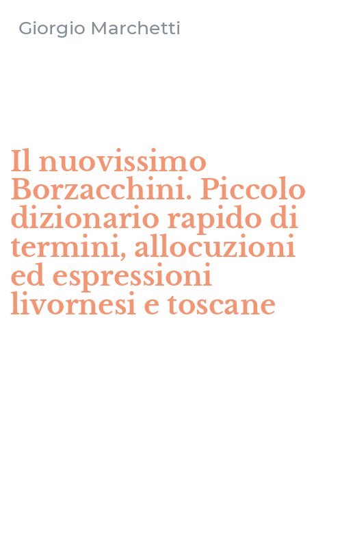 Il nuovissimo Borzacchini. Piccolo dizionario rapido di termini, allocuzioni ed espressioni livornesi e toscane