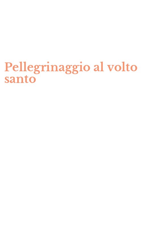 Pellegrinaggio al volto santo