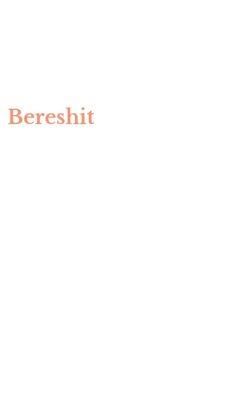Bereshit