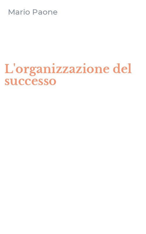 L'organizzazione del successo