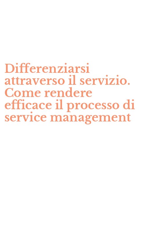 Differenziarsi attraverso il servizio. Come rendere efficace il processo di service management