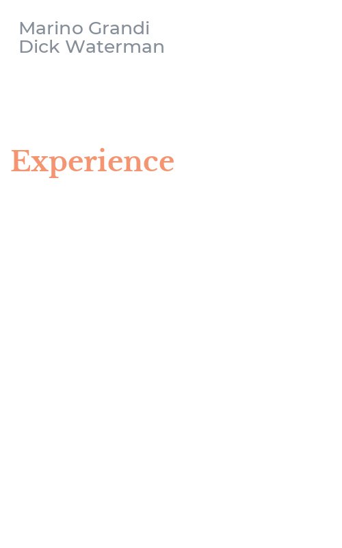 Experience