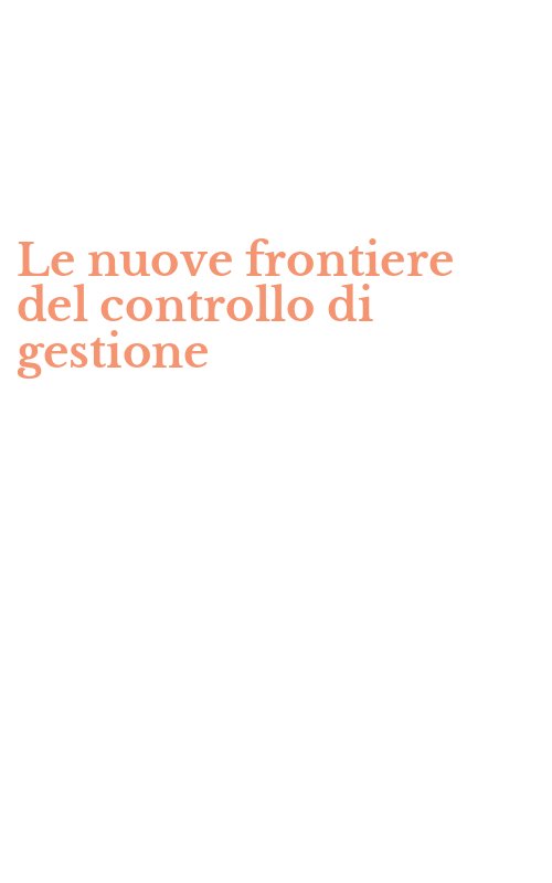 Le nuove frontiere del controllo di gestione