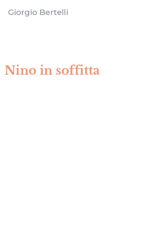Nino in soffitta