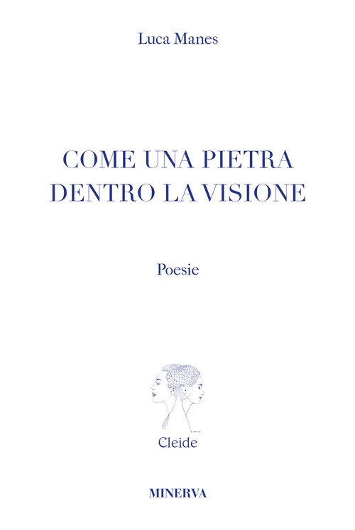 Come una pietra dentro la visione