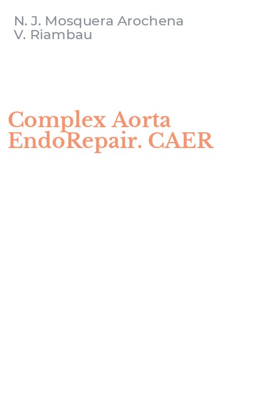 Complex Aorta EndoRepair. CAER