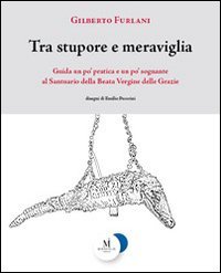Tra stupore e meraviglia. Guida un po' pratica e un po' sognante al santuario della beata Vergine delle Grazie