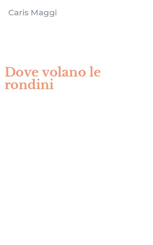 Dove volano le rondini
