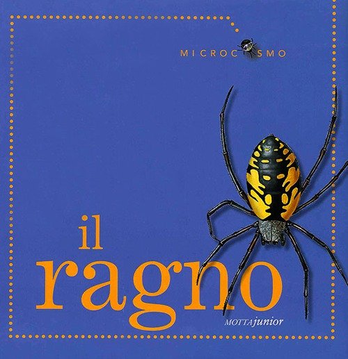 Il ragno