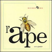 L'ape