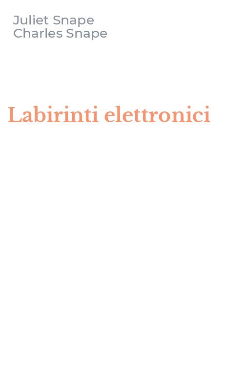 Labirinti elettronici