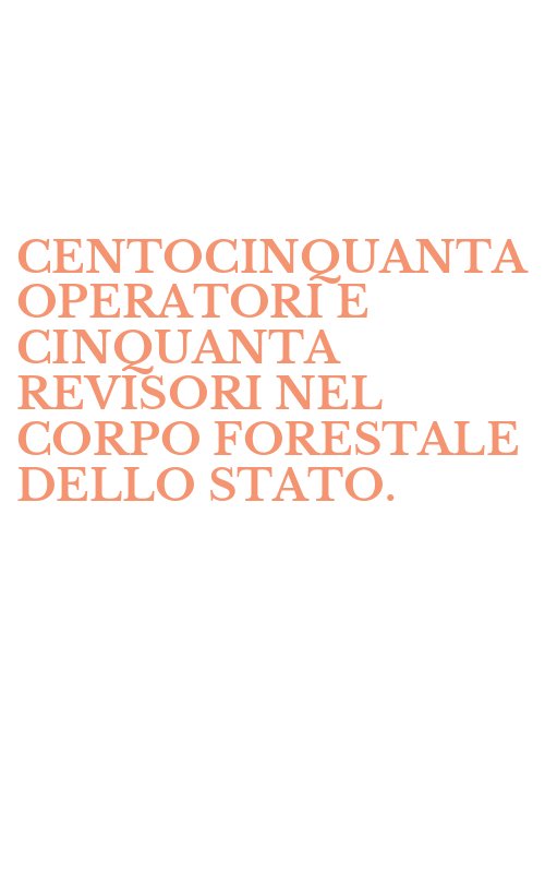 CENTOCINQUANTA OPERATORI E CINQUANTA REVISORI NEL CORPO FORESTALE DELLO STATO.