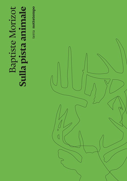 Sulla pista animale