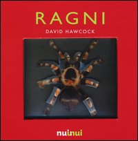 Ragni. Libro pop-up
