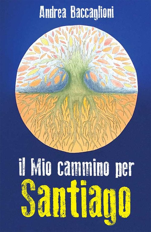 Il mio cammino per Santiago