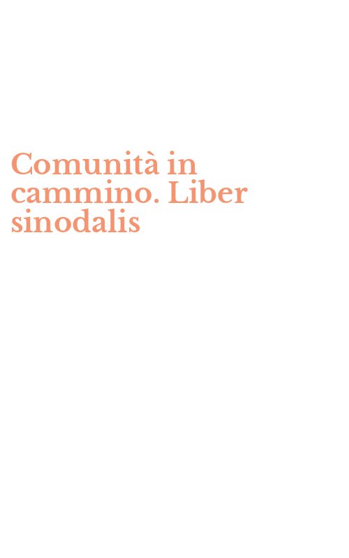 Comunità in cammino. Liber sinodalis