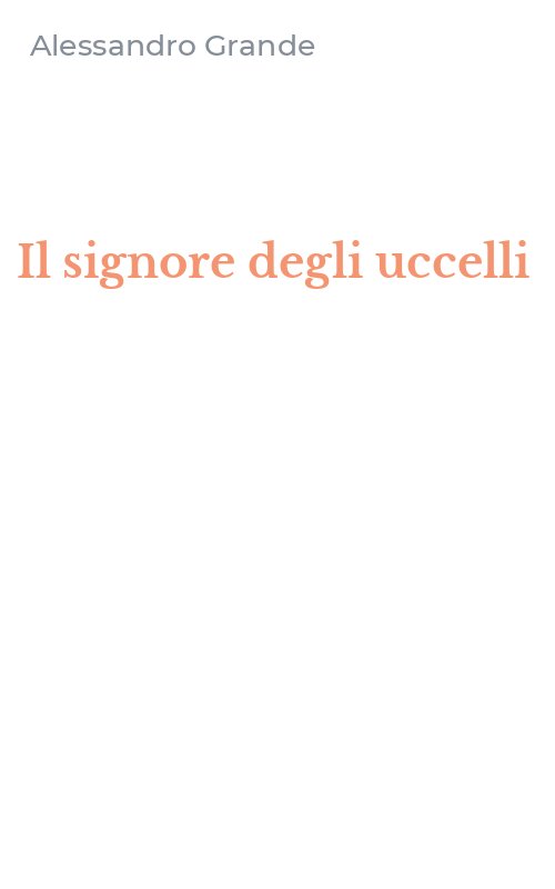 Il signore degli uccelli