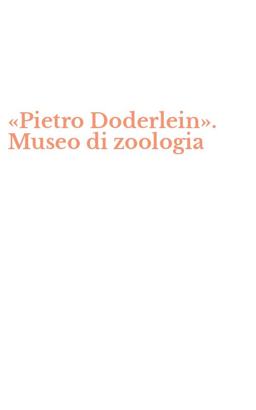 «Pietro Doderlein». Museo di zoologia