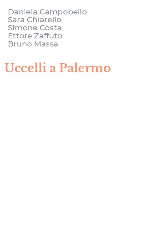 Uccelli a Palermo